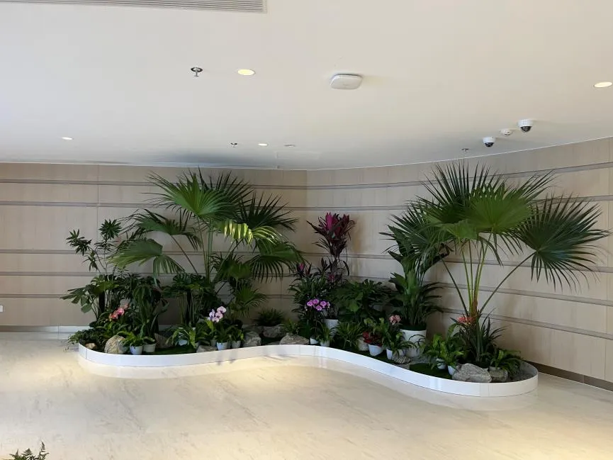 宁波奉化绿化修剪专业，塑造美丽生态家园